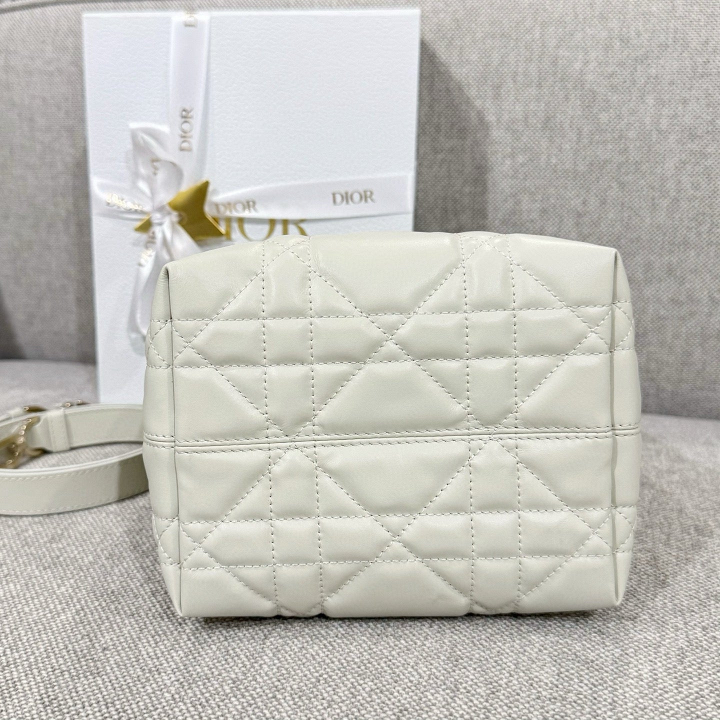 Dior Toujours Mini Bag