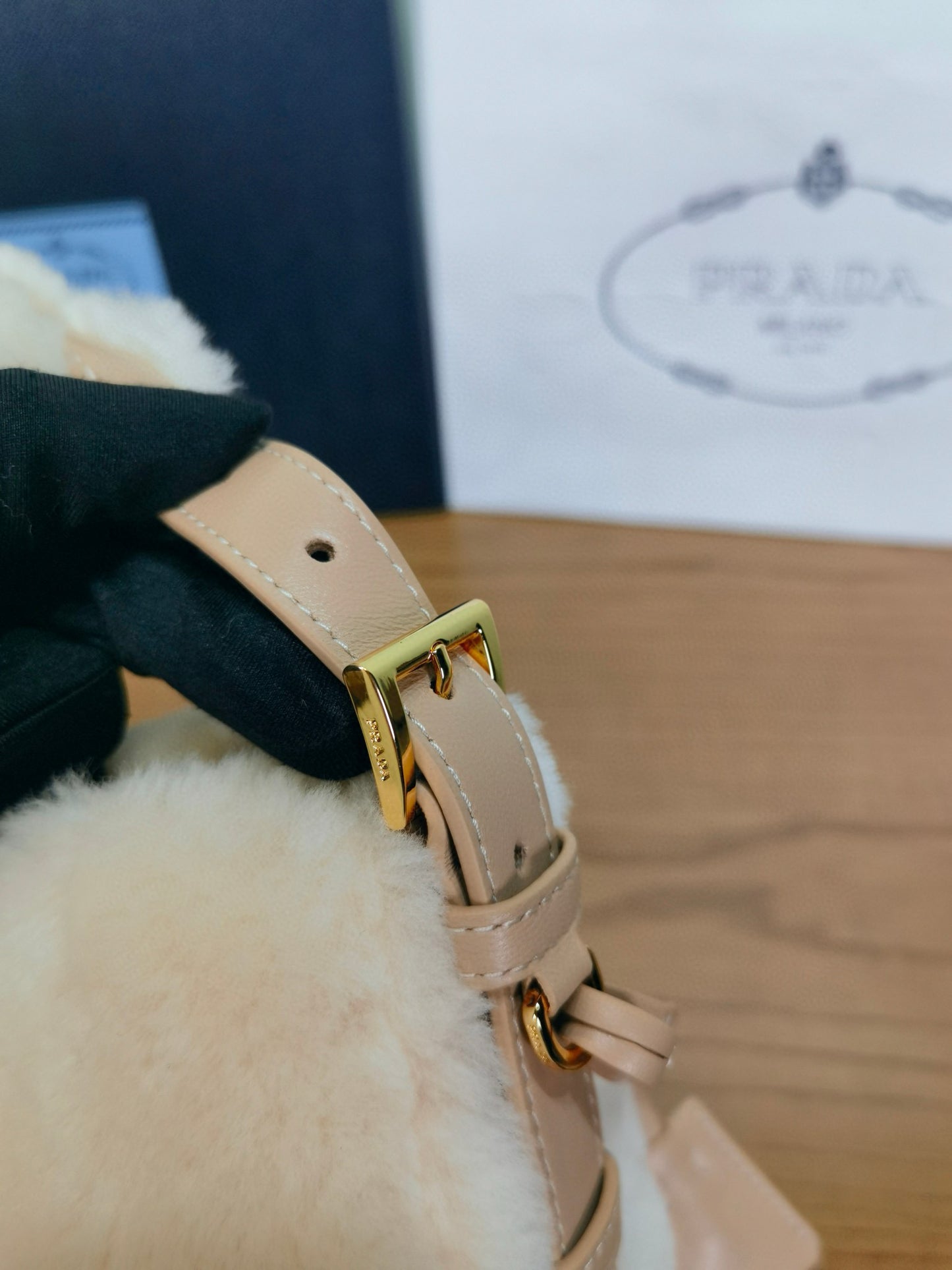 Prada Aimee Bag