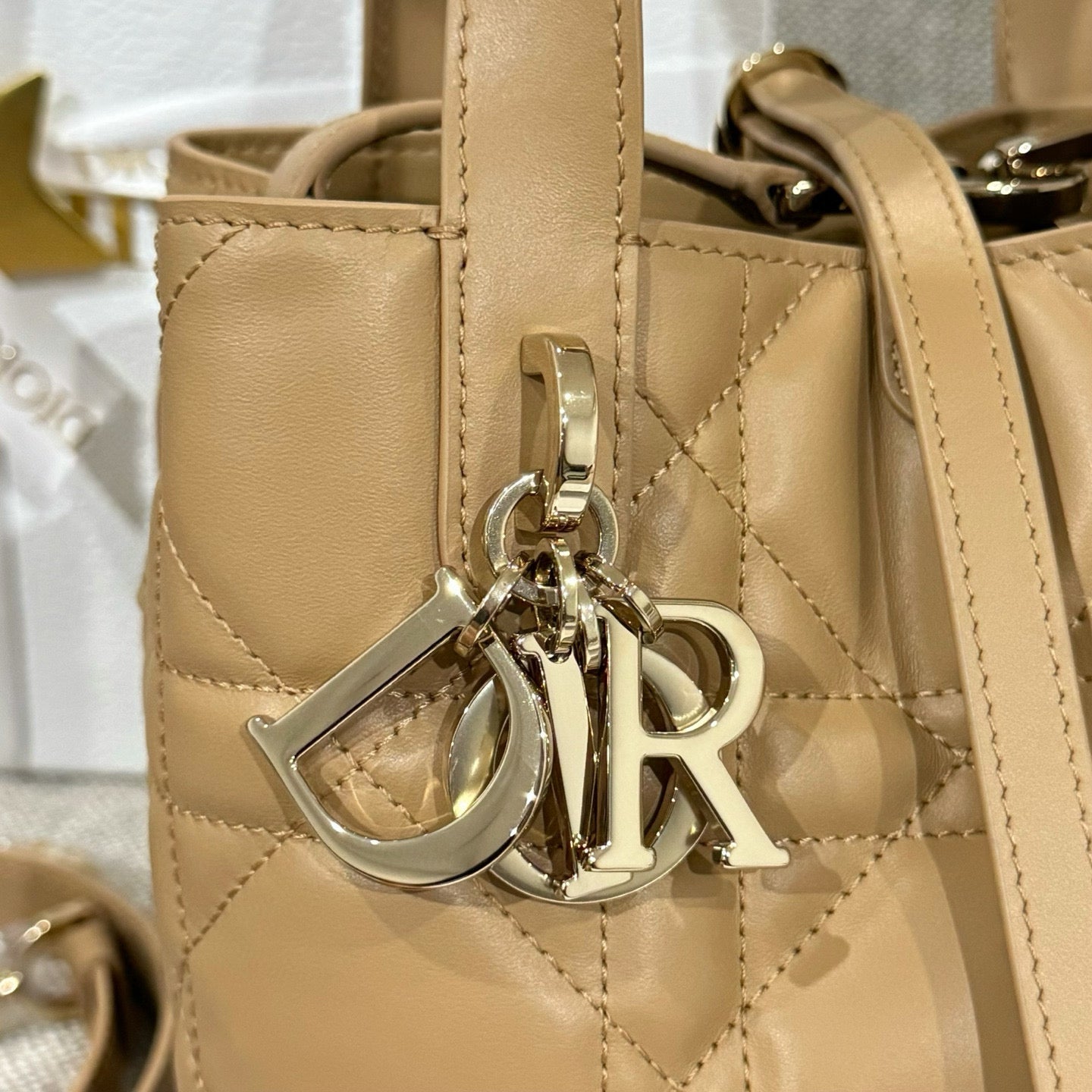 Dior Toujours Bag