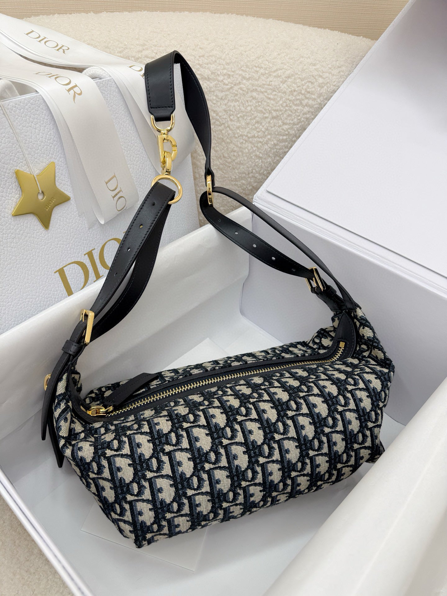 Dior Hobo Bag