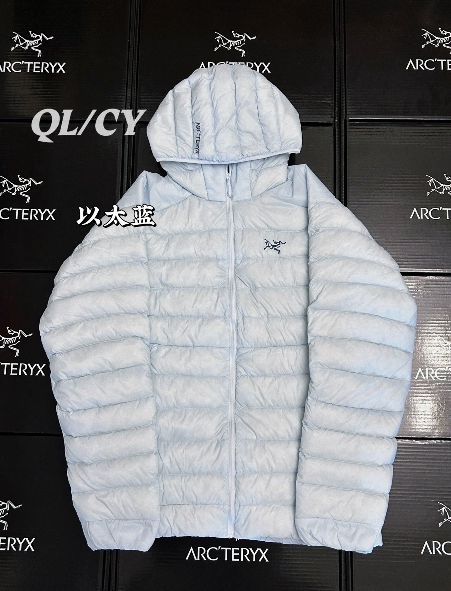 Arcteryx Down Jacket