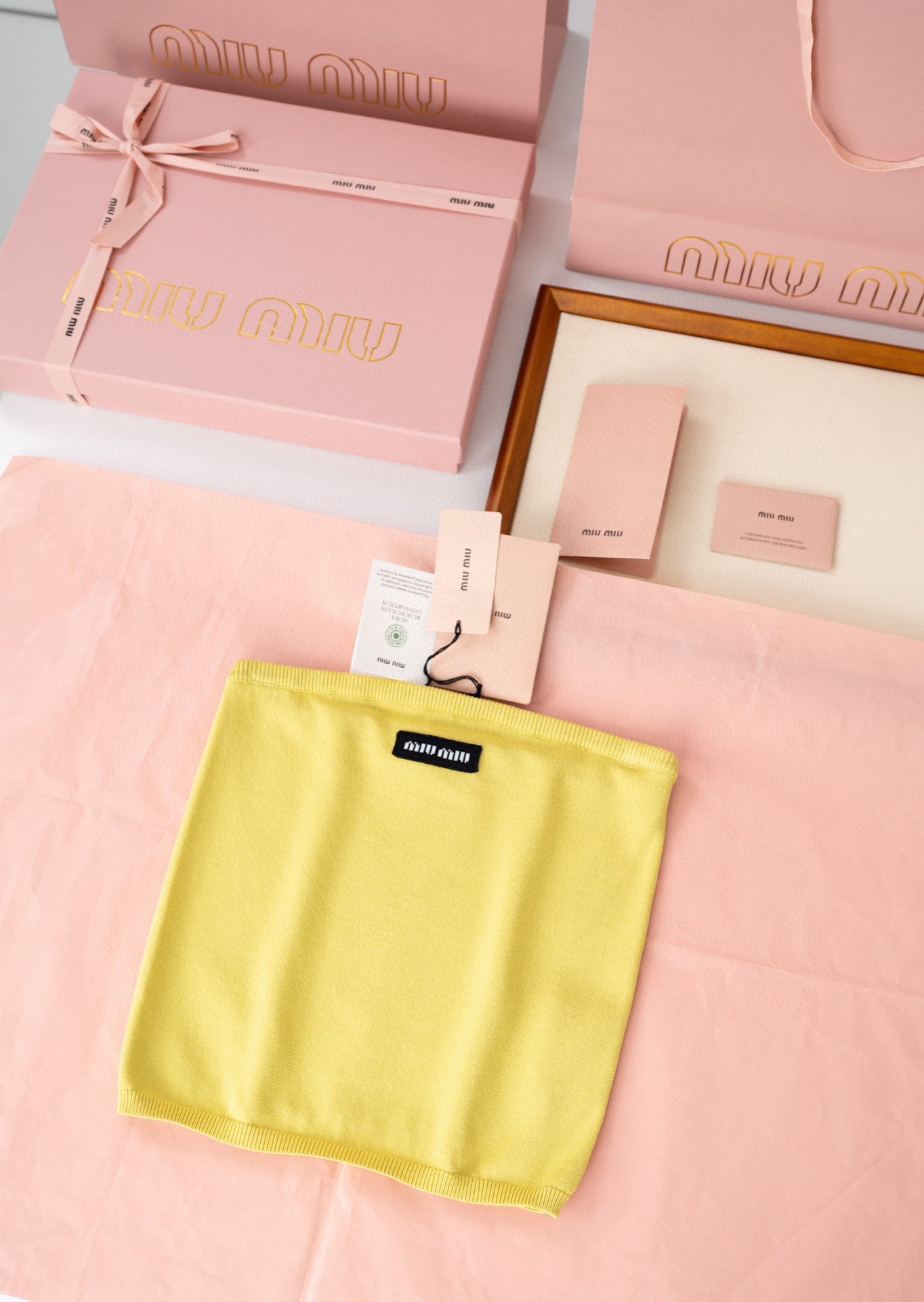 Miu Miu Crop Top