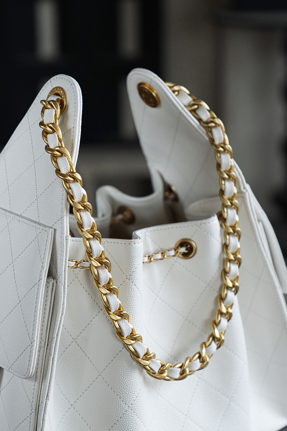 Chanel Hobo 25Bag (small)