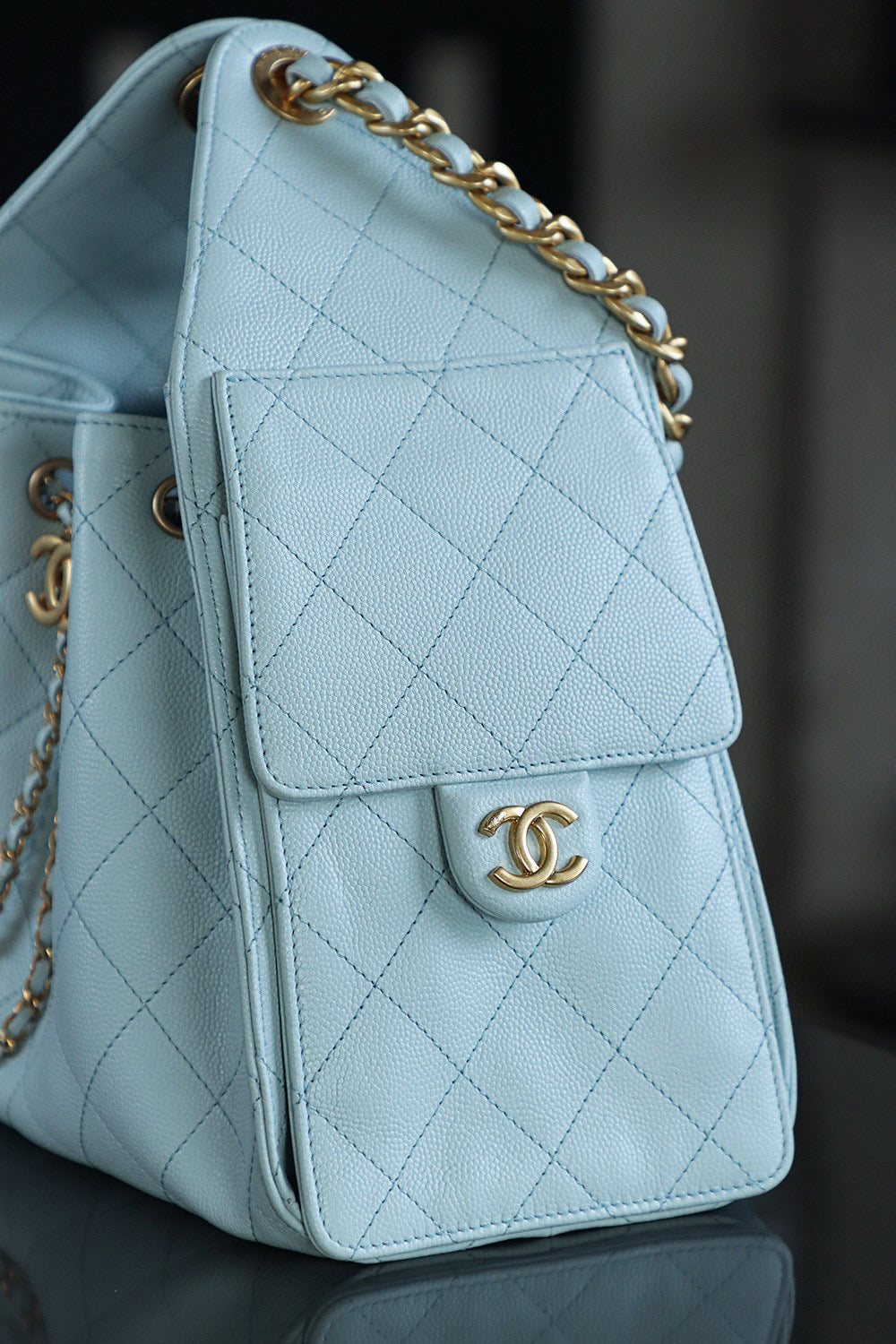 Chanel Hobo 25Bag (small)