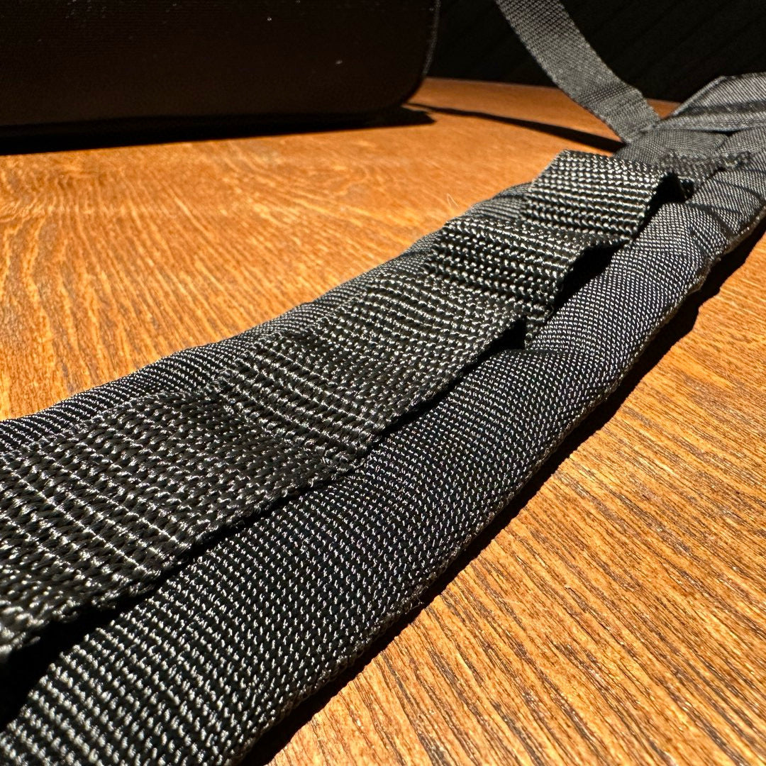 Balenciaga Camera Bag