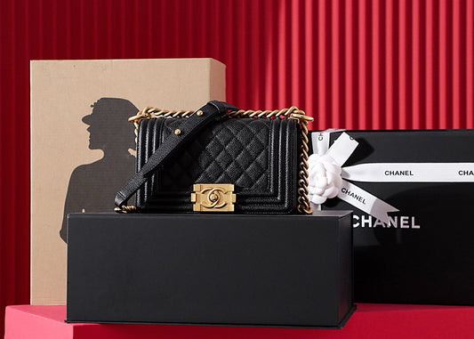 Chanel Leboy Bag (small)