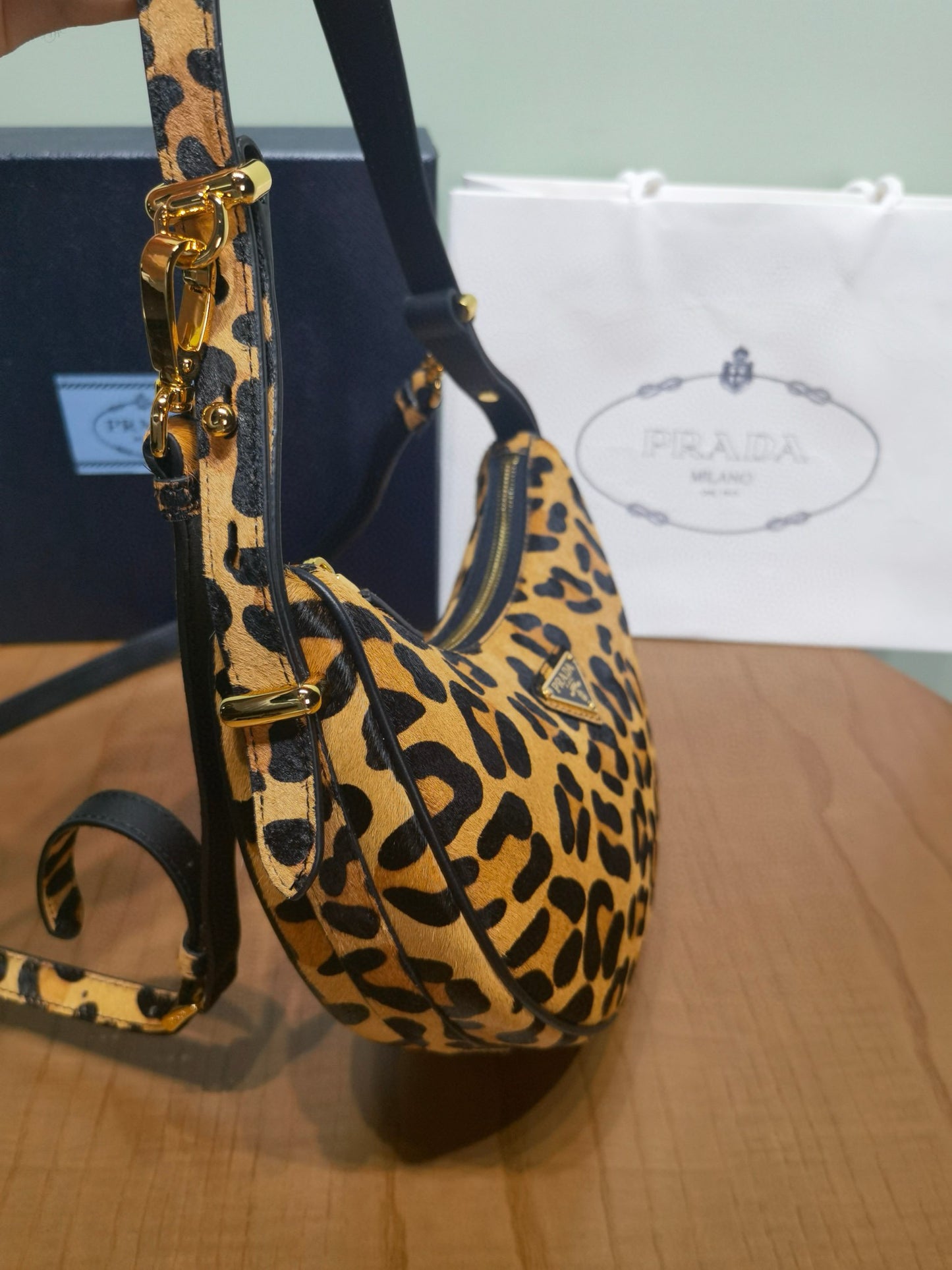 Prada Arque Moon Bag