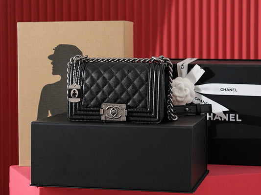 Chanel Leboy Bag (small)