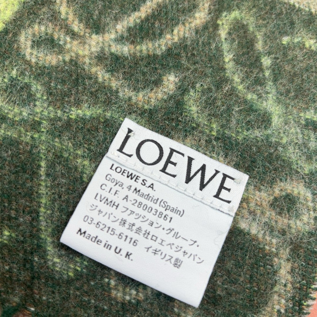 Loewe Scarves