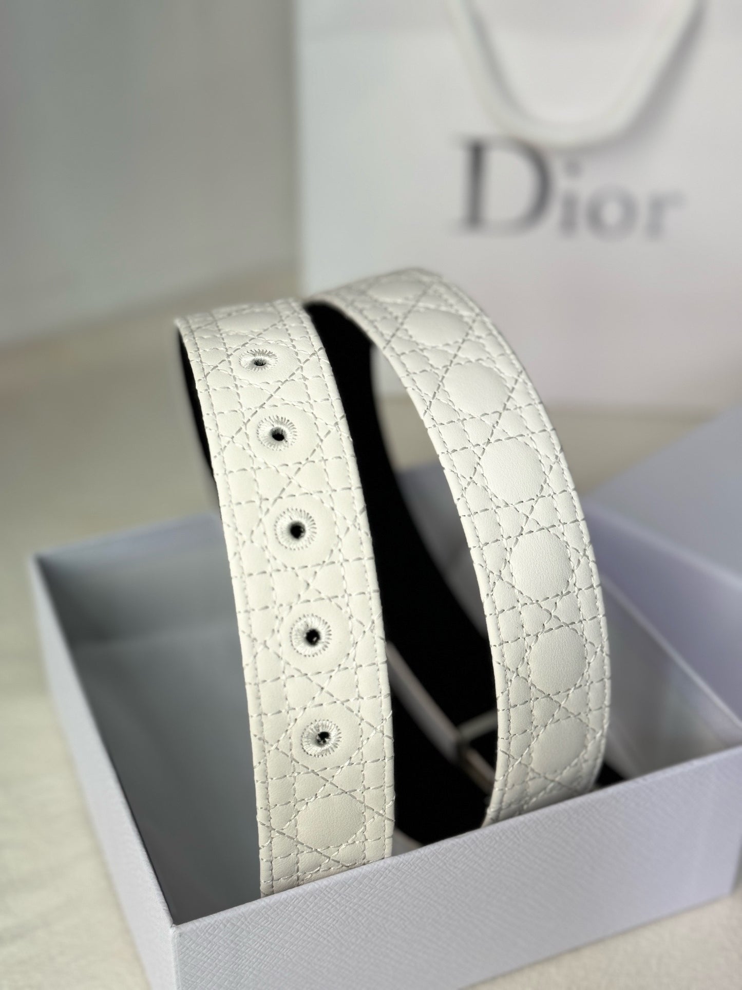 Dior Belts