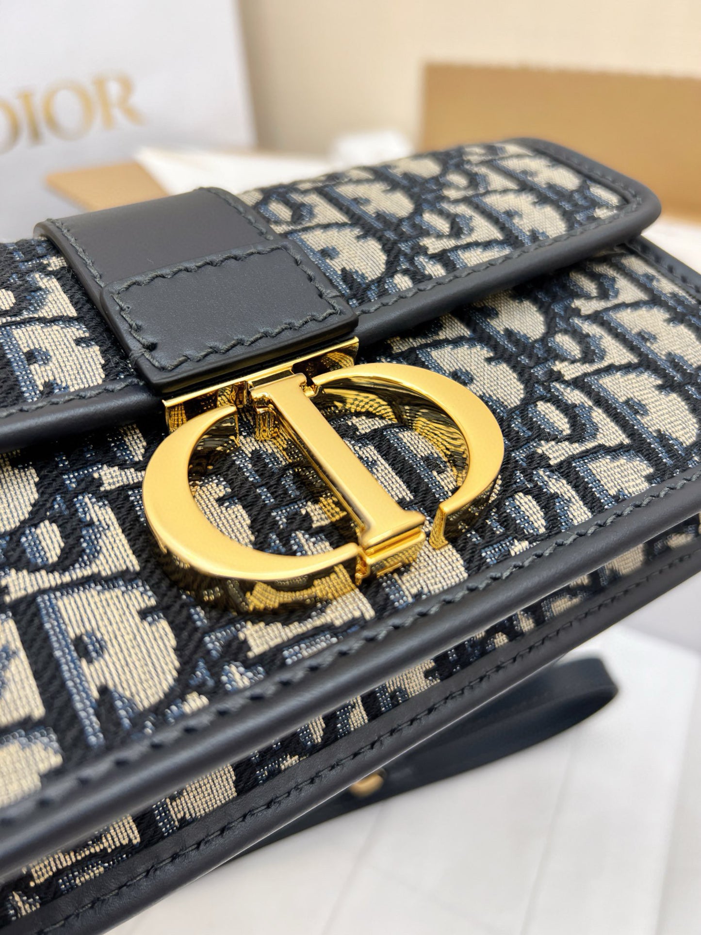 Dior Montaigne Bag