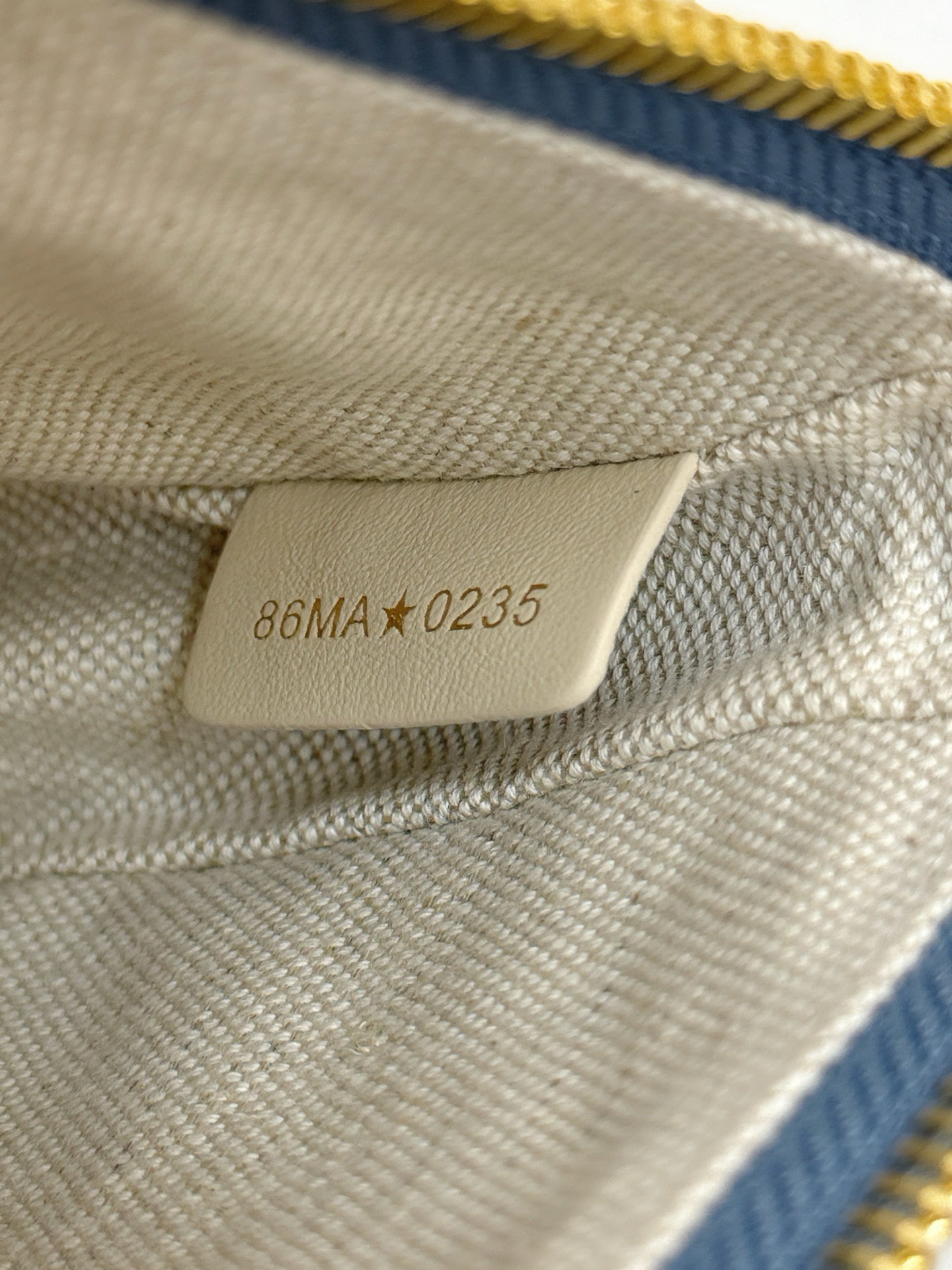Dior Hobo Bag