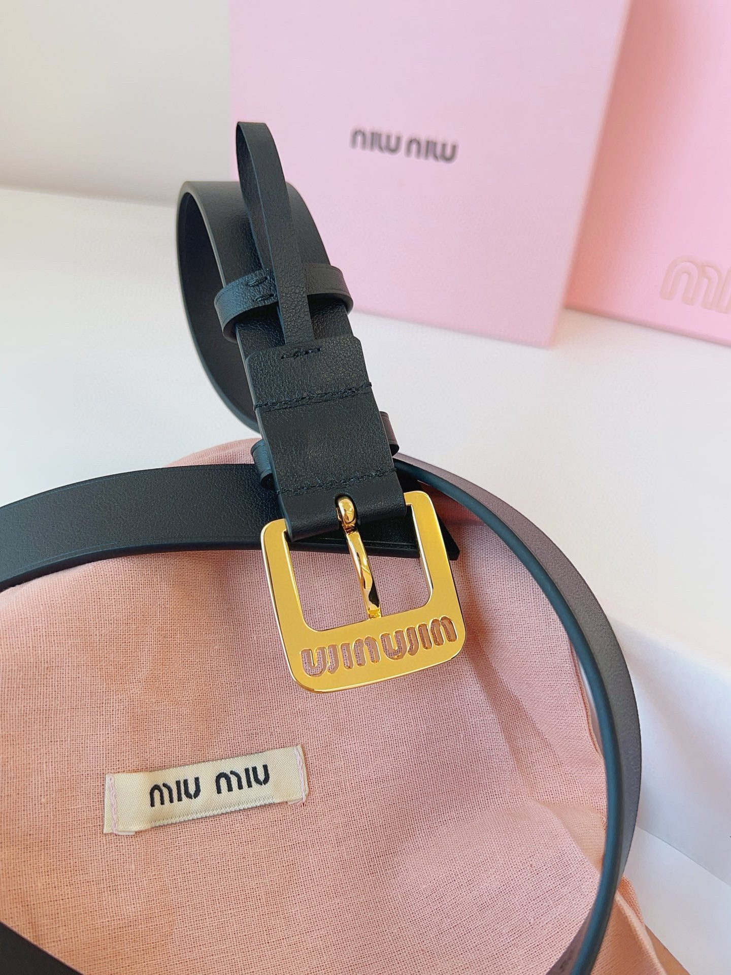 Miu Miu Belt