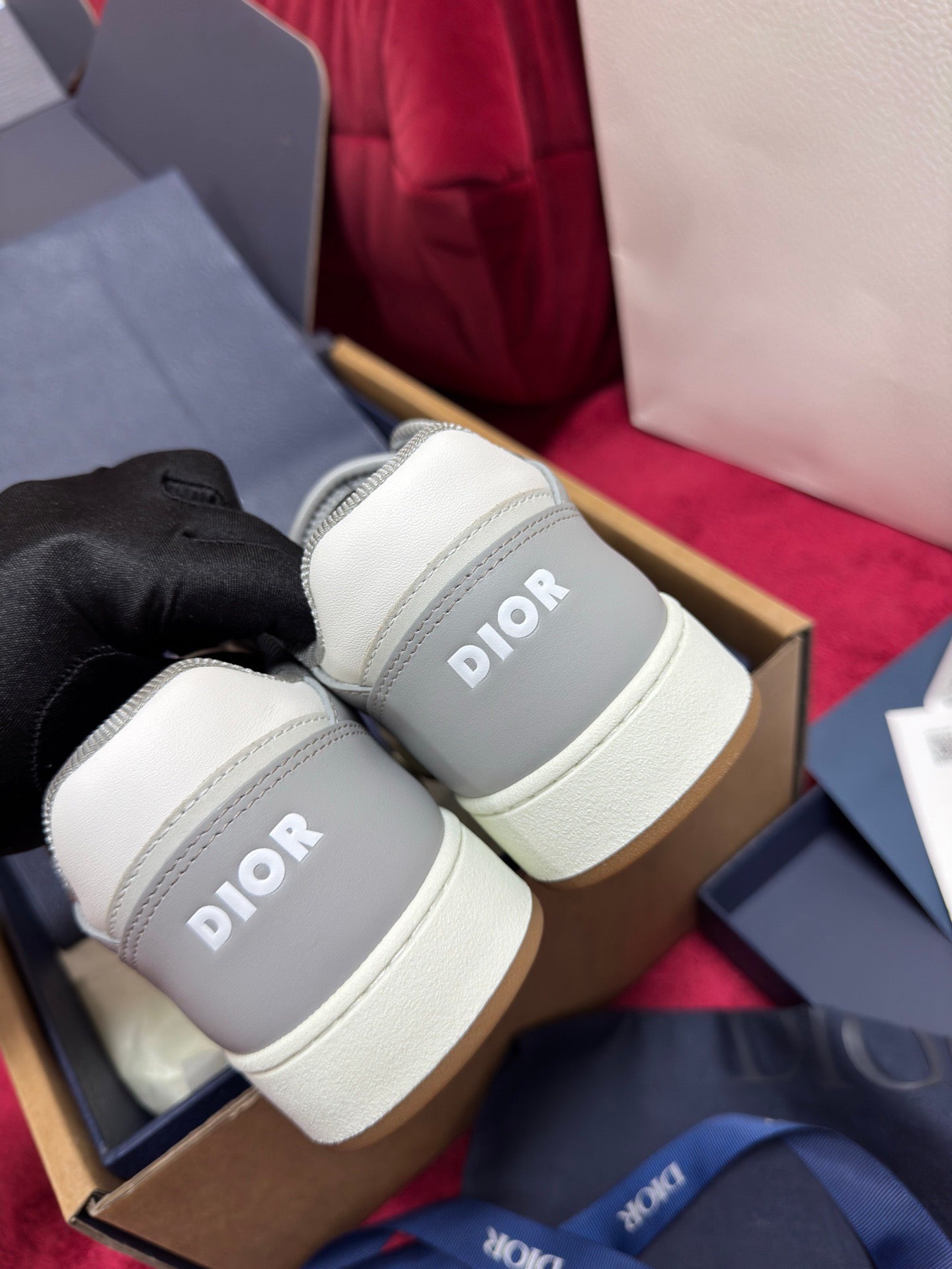 Dior Sneaker