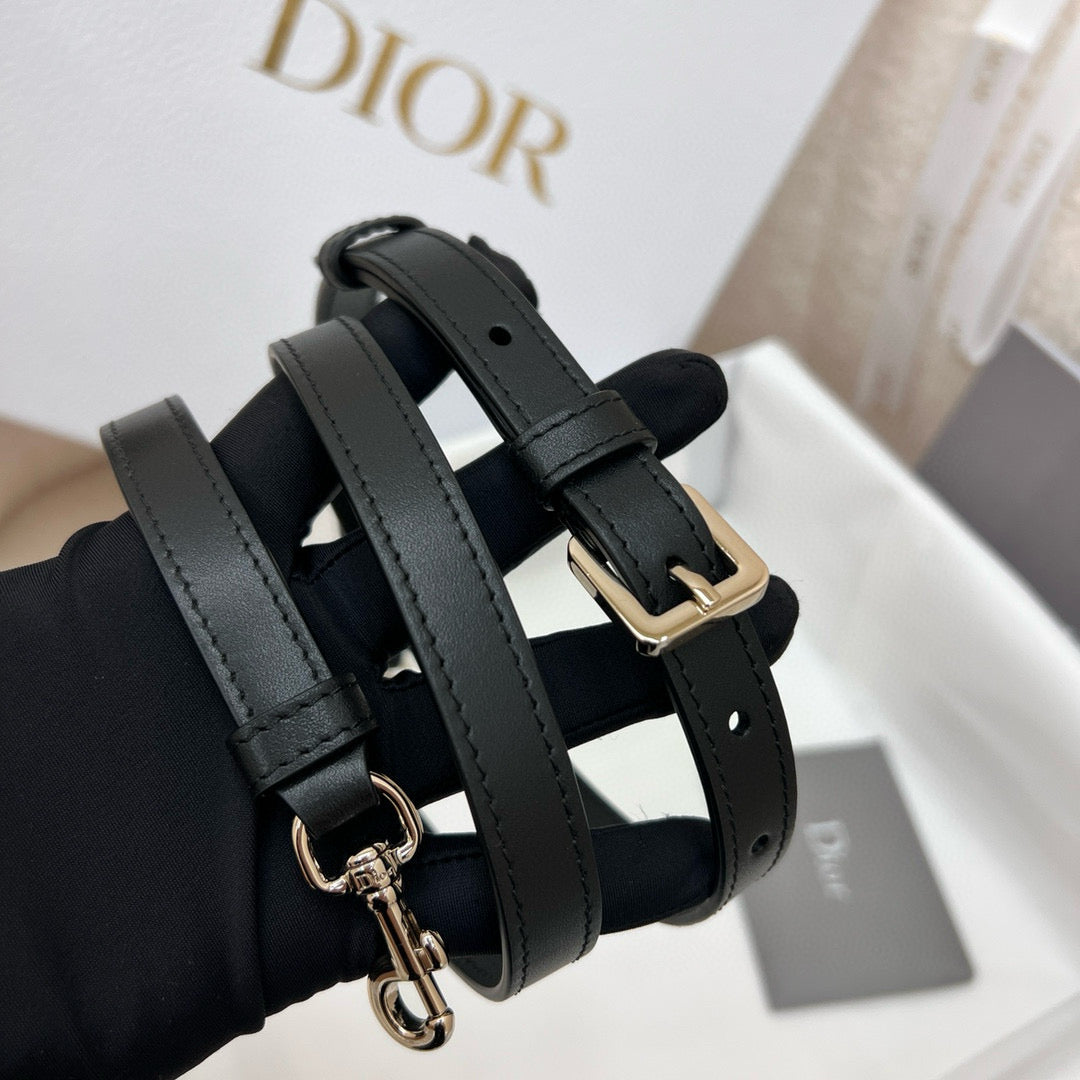 Dior Book Tote Bag