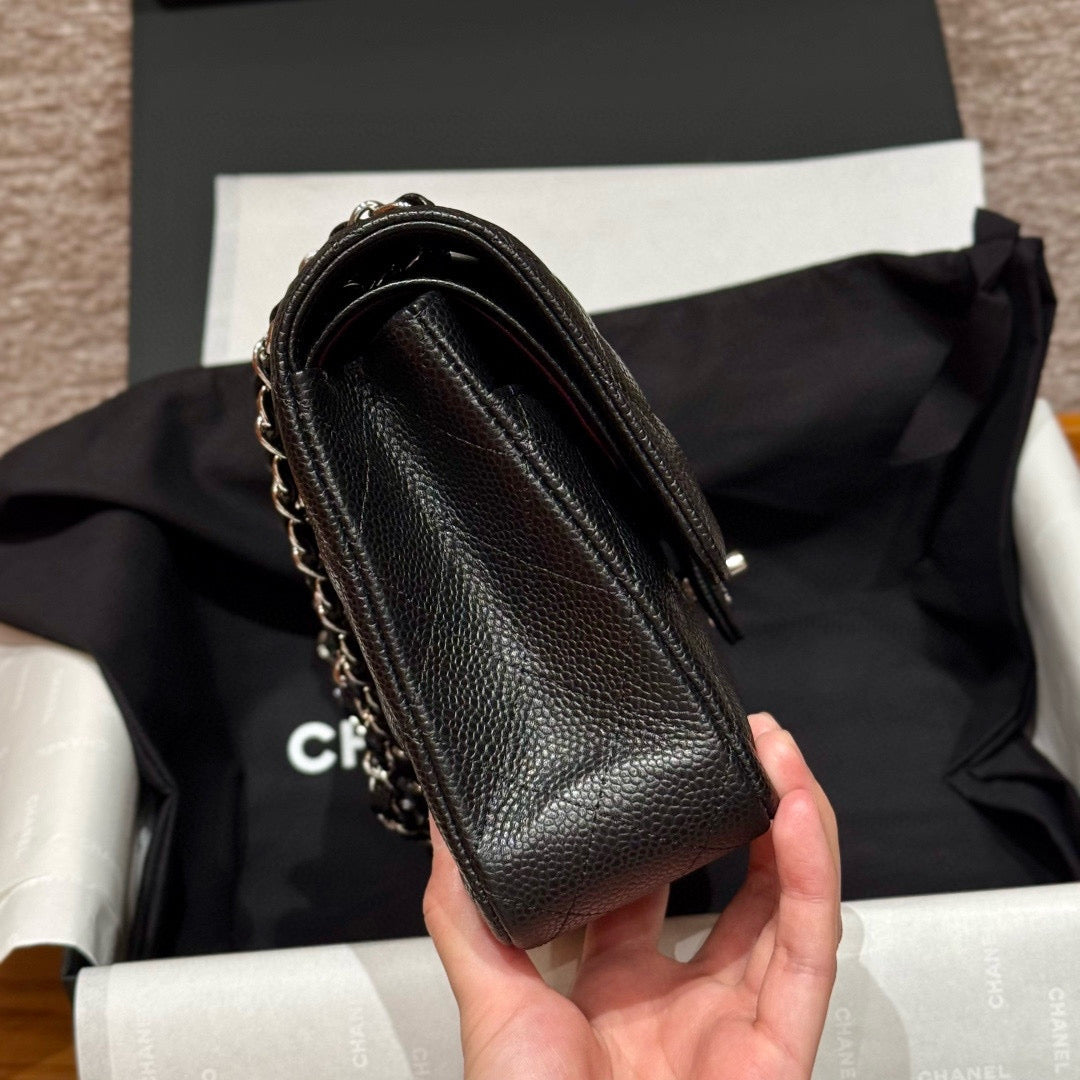 Chanel Classic Flap 25 (Medium)
