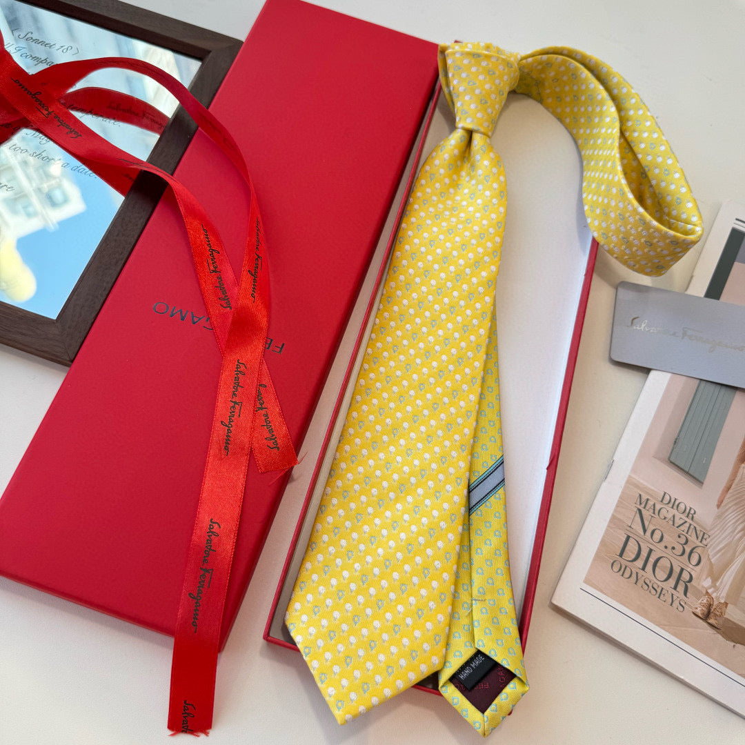 Salvatore Ferragamo Tie