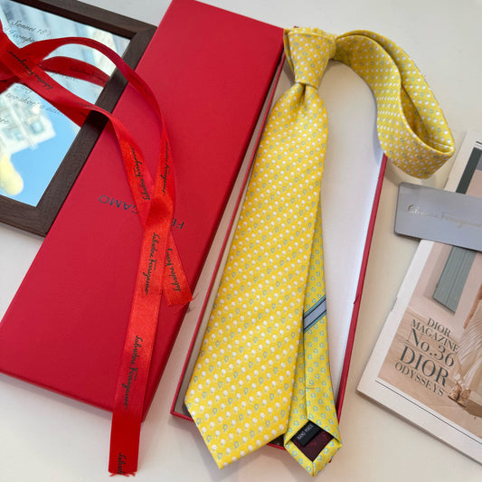Salvatore Ferragamo Tie
