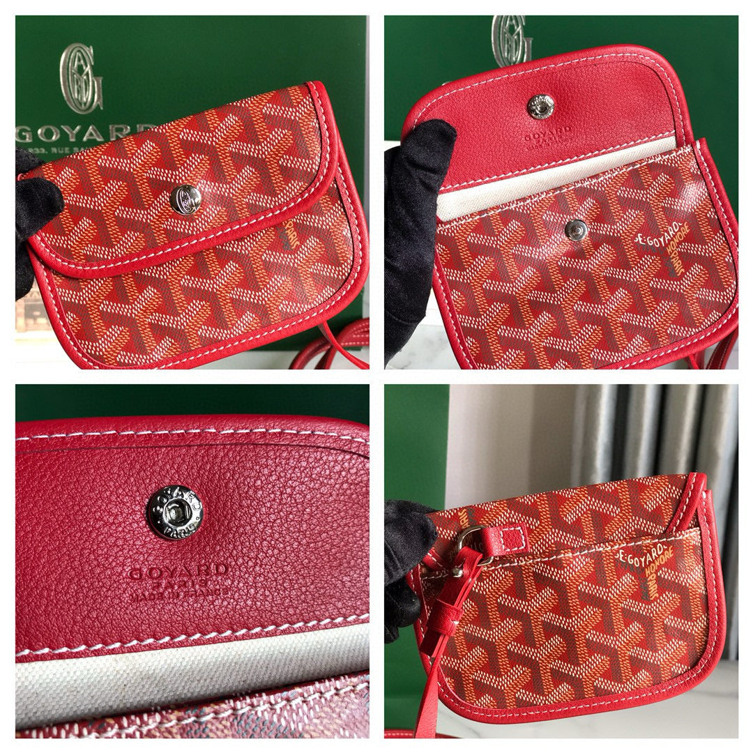 GOYARD BAG 20*19*10