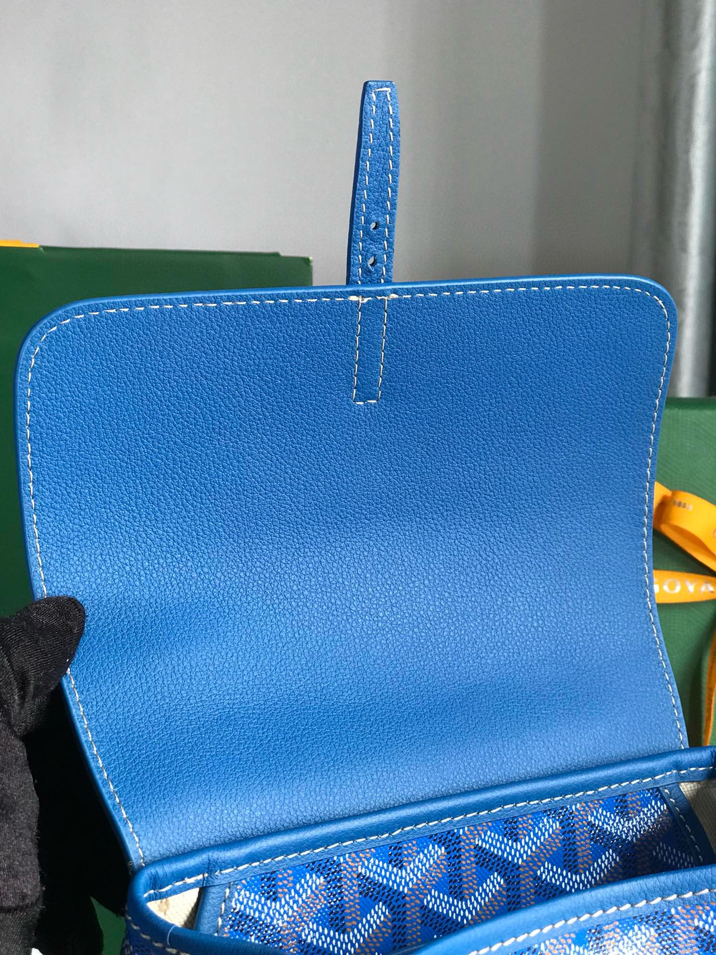 Goyard Mini Alpin Backpack