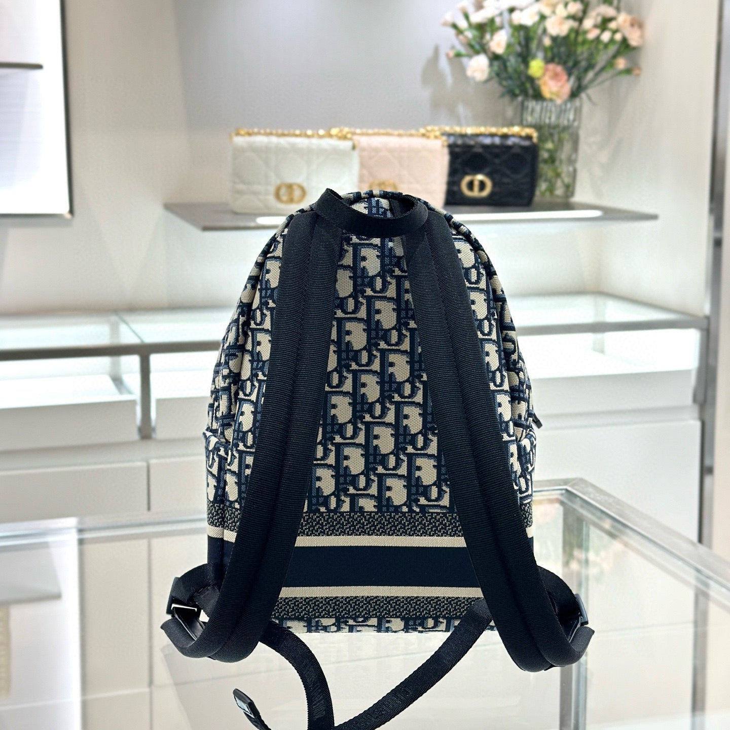 Dior Backpack