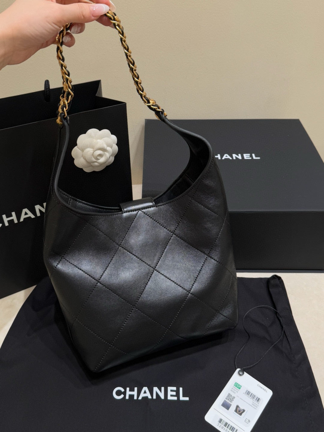 Chanel 25P Hobo (27x23x21cm)