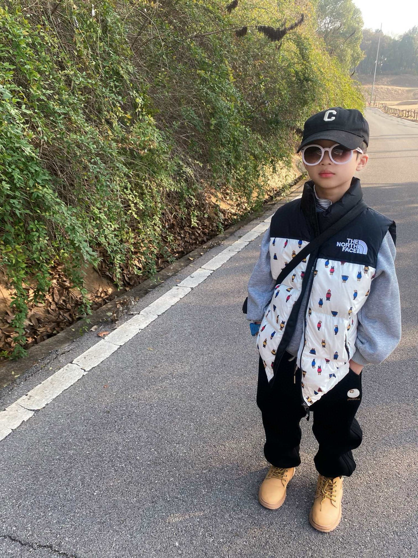 The North Face Insulated Vest Jacket