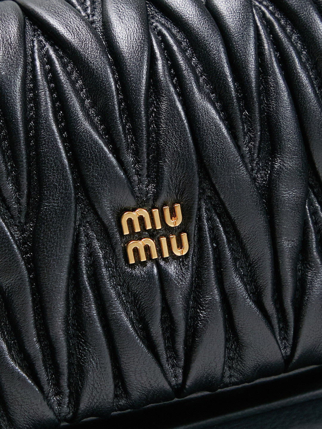 Miu Miu Case Bag