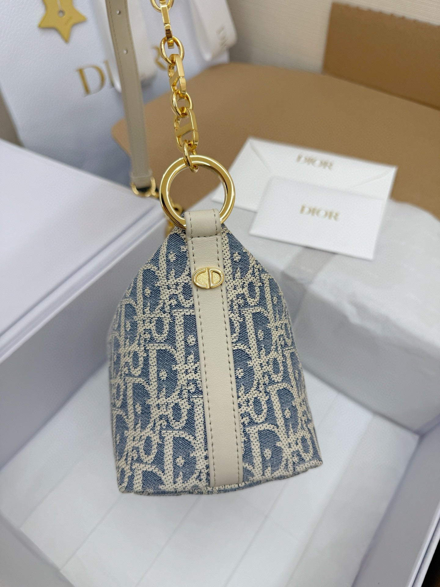 Dior Hobo Bag