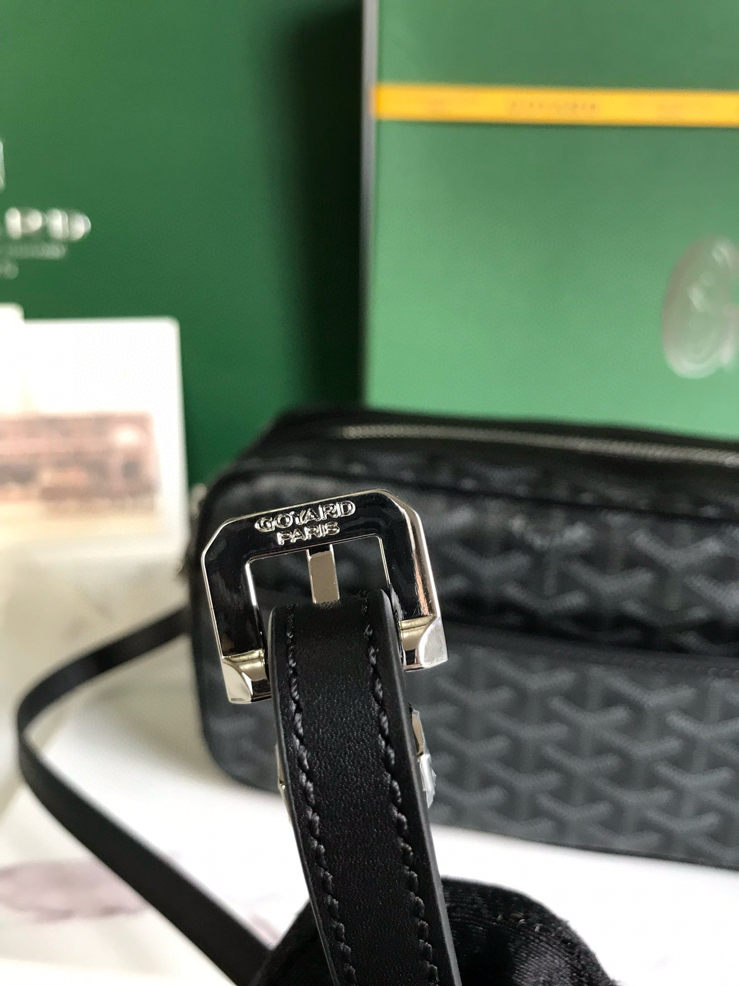 GOYARD CAP-VERT PM BAG