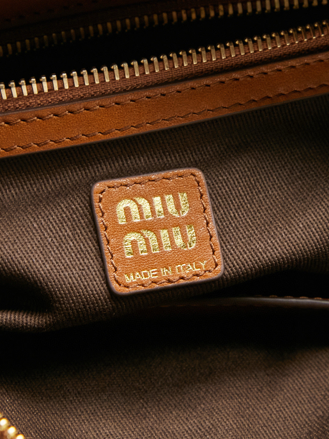 Miu Miu Case Bag