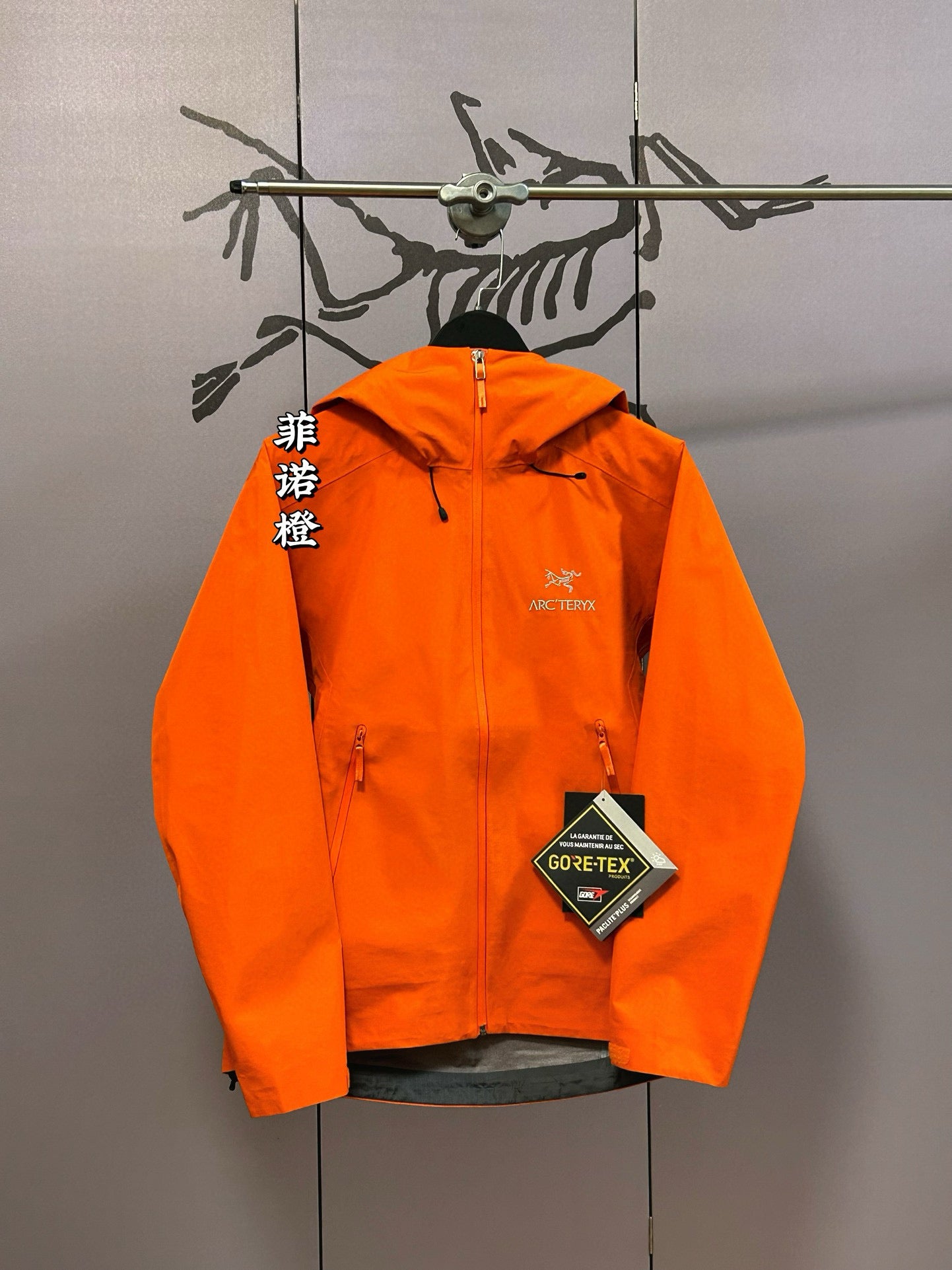 Arcteryx Jacket