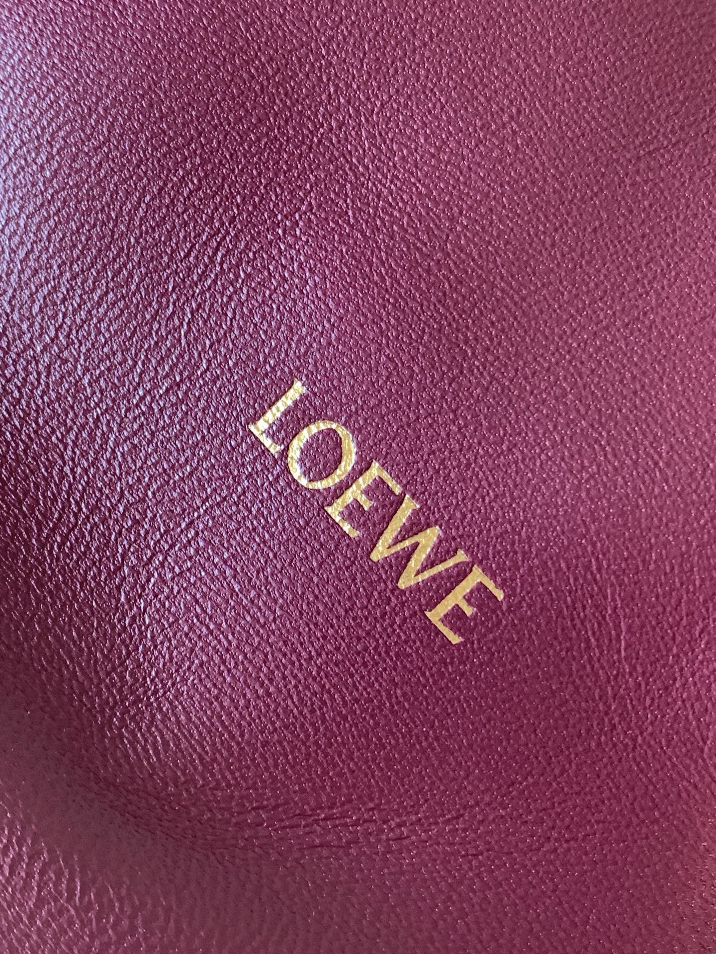 Loewe Squeeze Leather