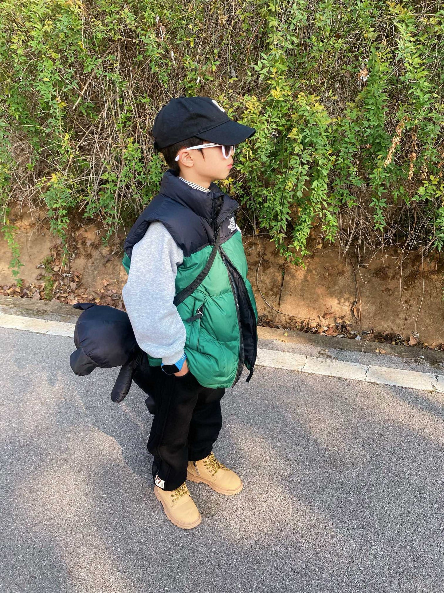 The North Face Insulated Vest Jacket