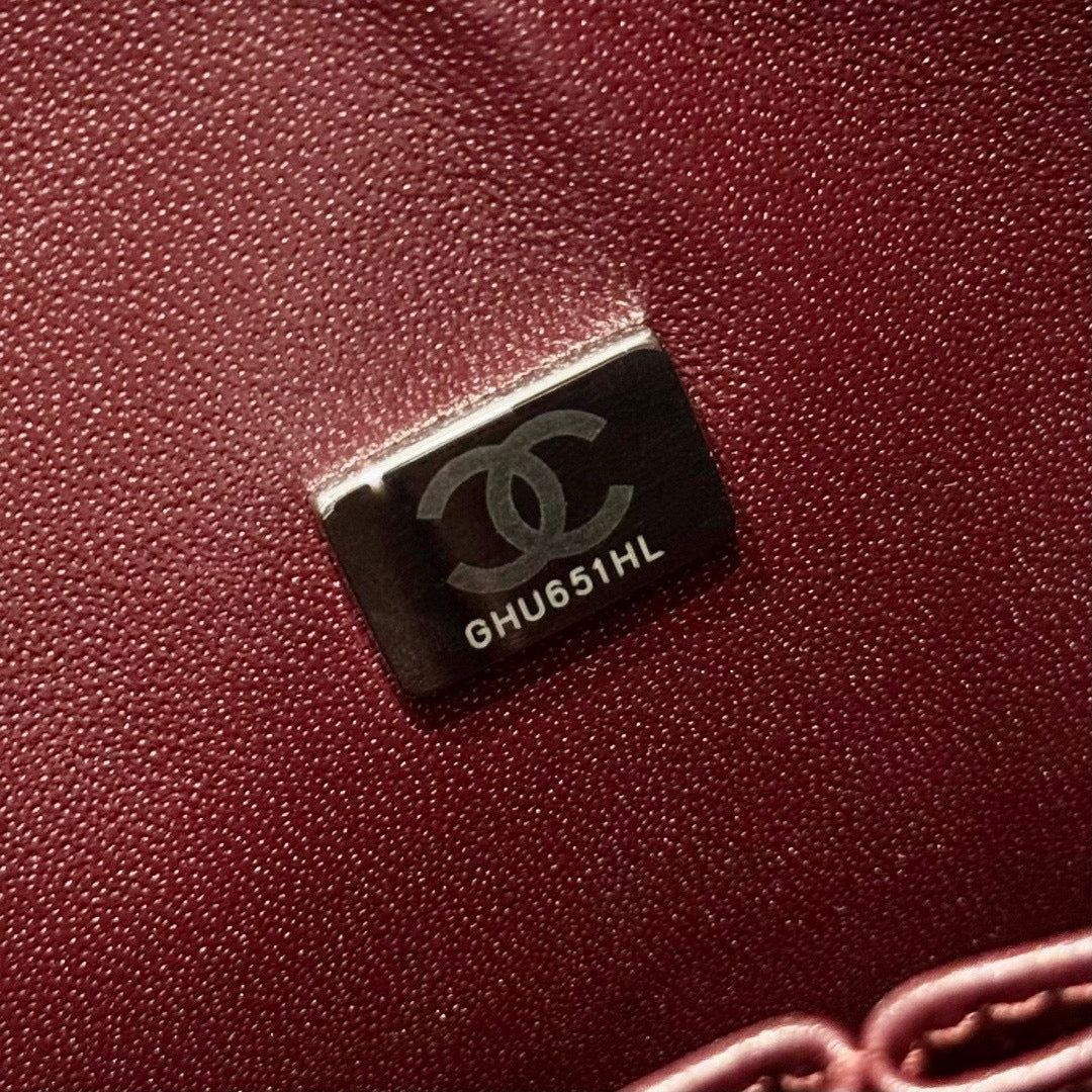 Chanel Classic Flap 25 (Medium)