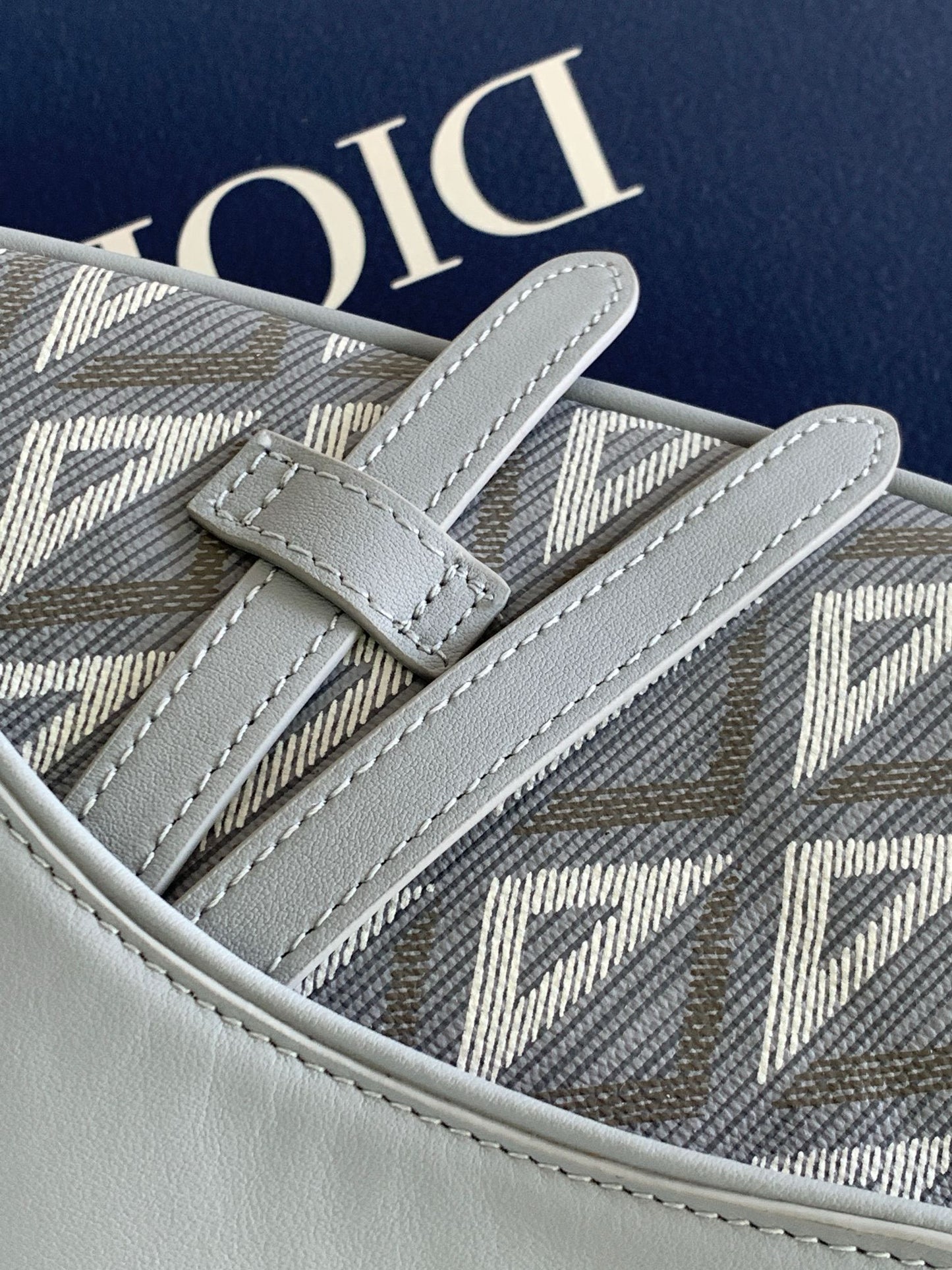 Dior Saddle Bag