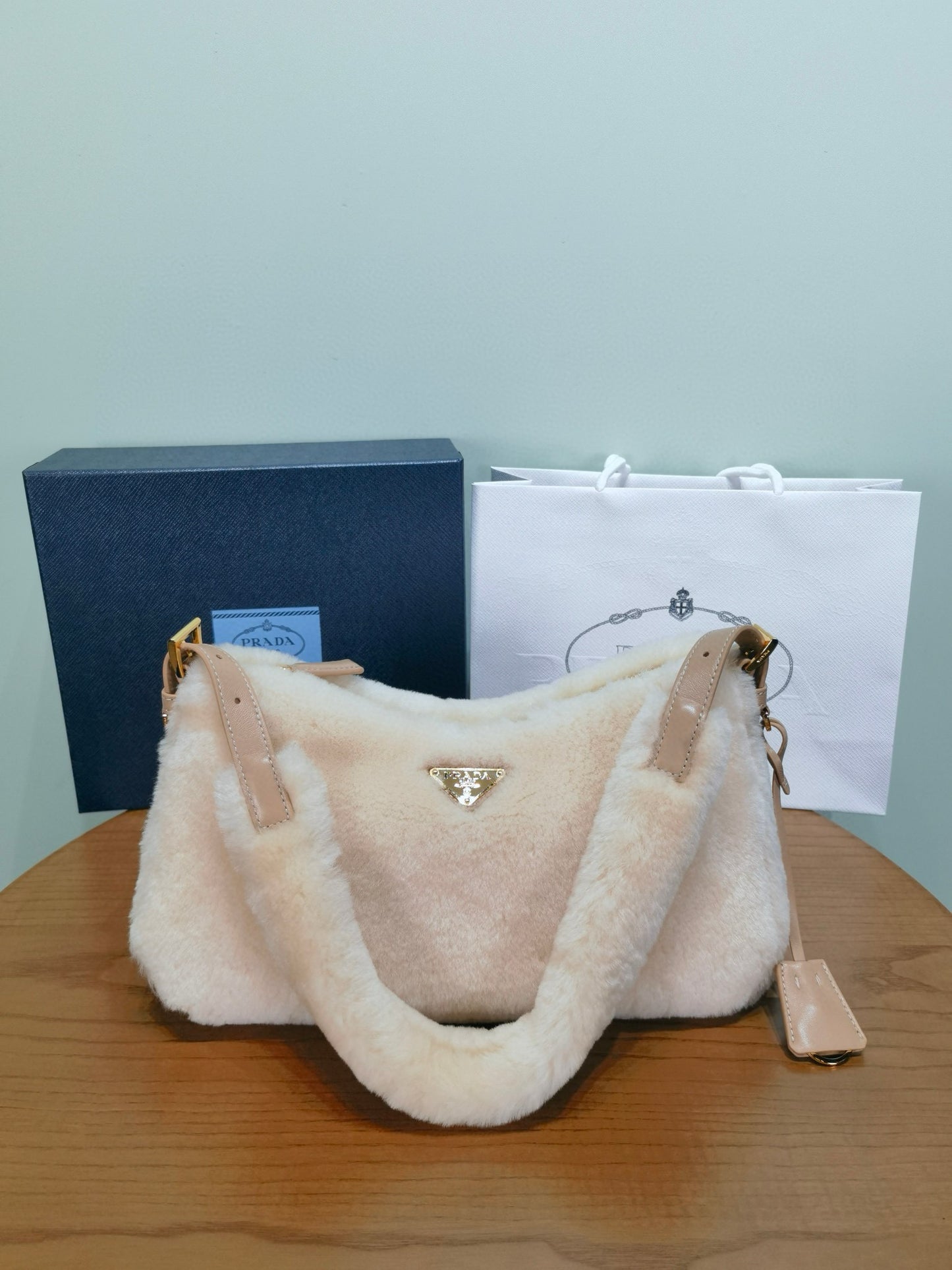 Prada Aimee Bag