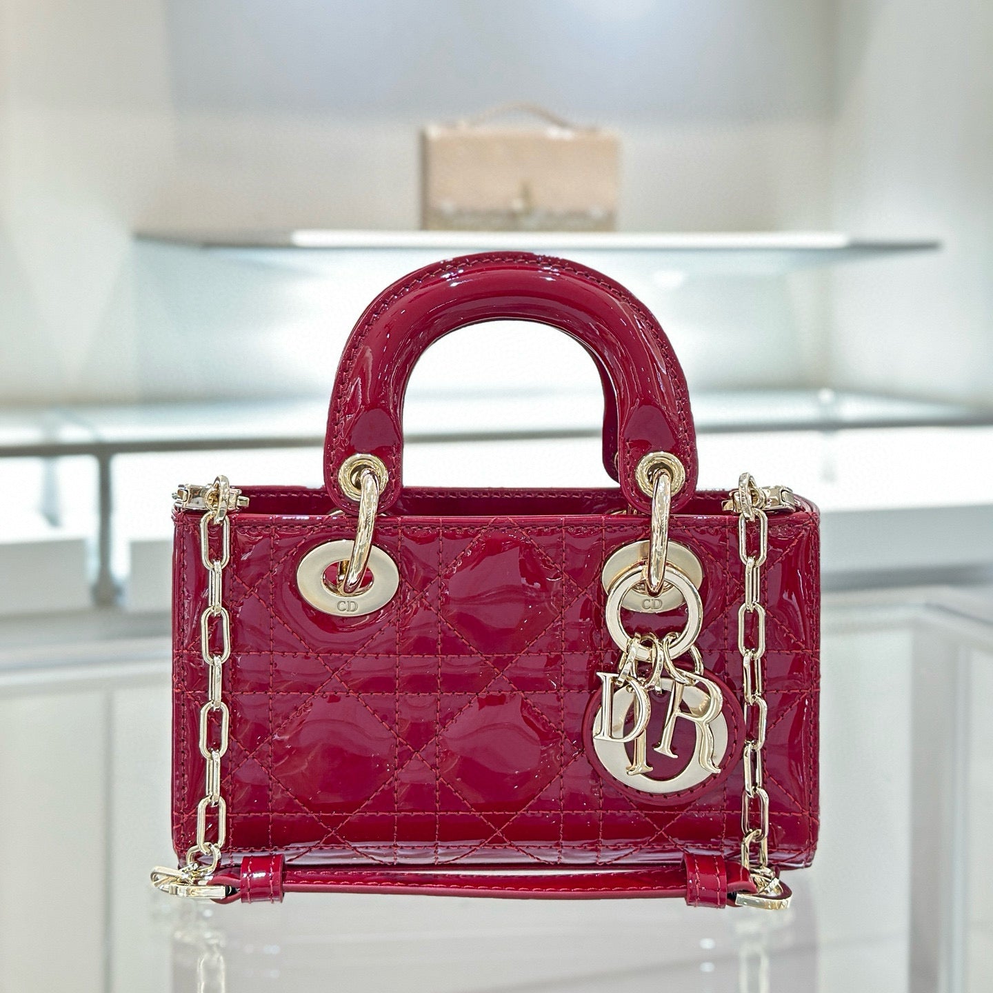 Dior Joy Bag