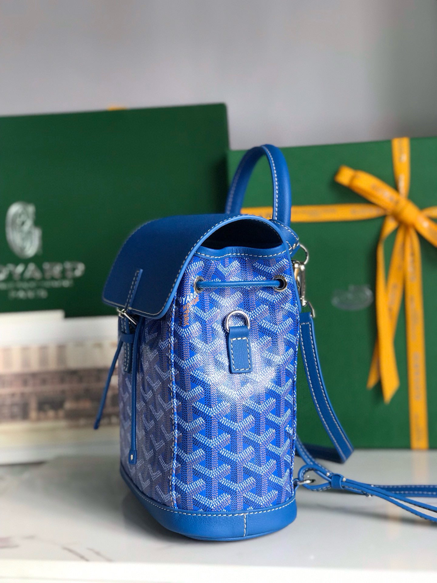 Goyard Mini Alpin Backpack