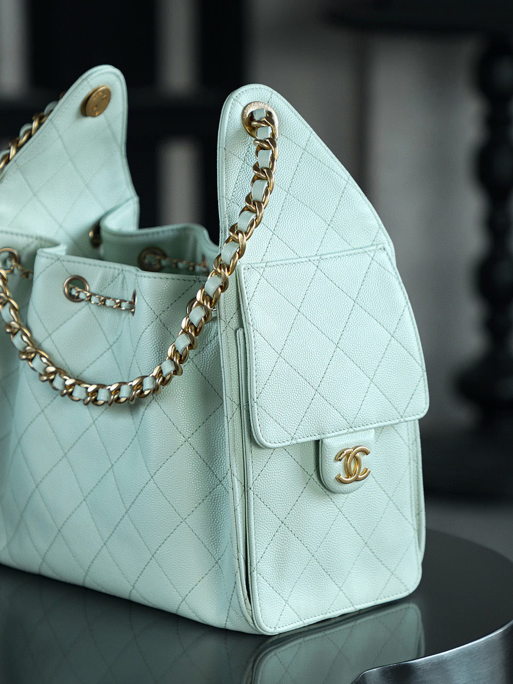 Chanel Hobo 25Bag (small)
