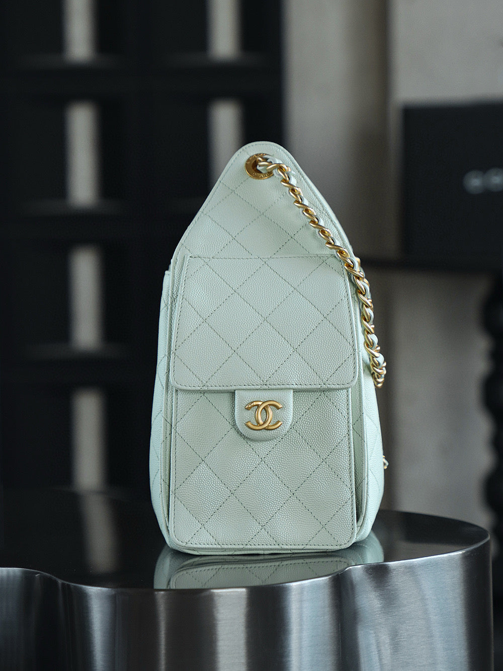 Chanel Hobo 25Bag (small)
