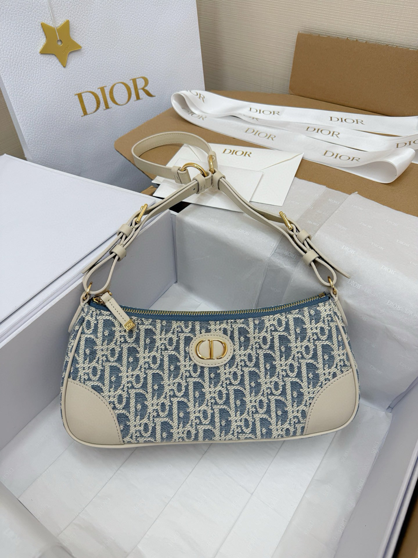 Dior Hobo Bag