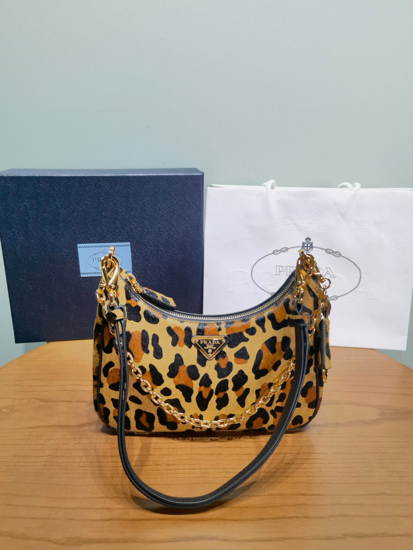 Prada Hobo Bag