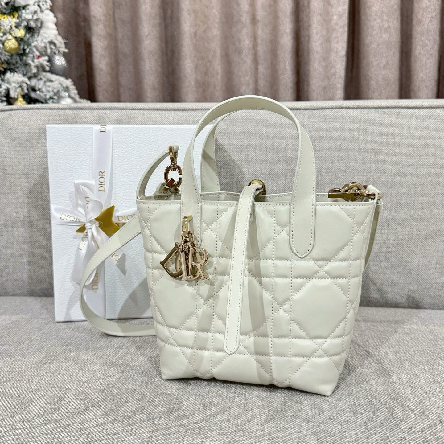 Dior Toujours Mini Bag