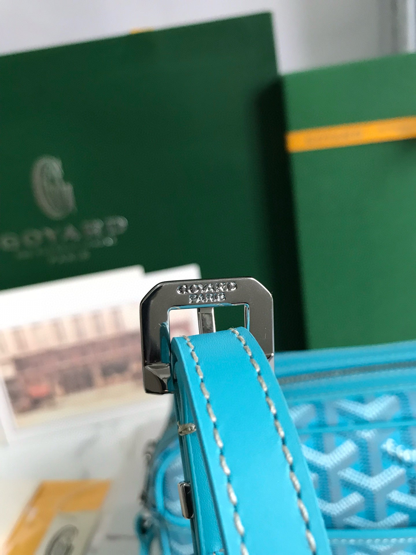 GOYARD CAP-VERT PM BAG