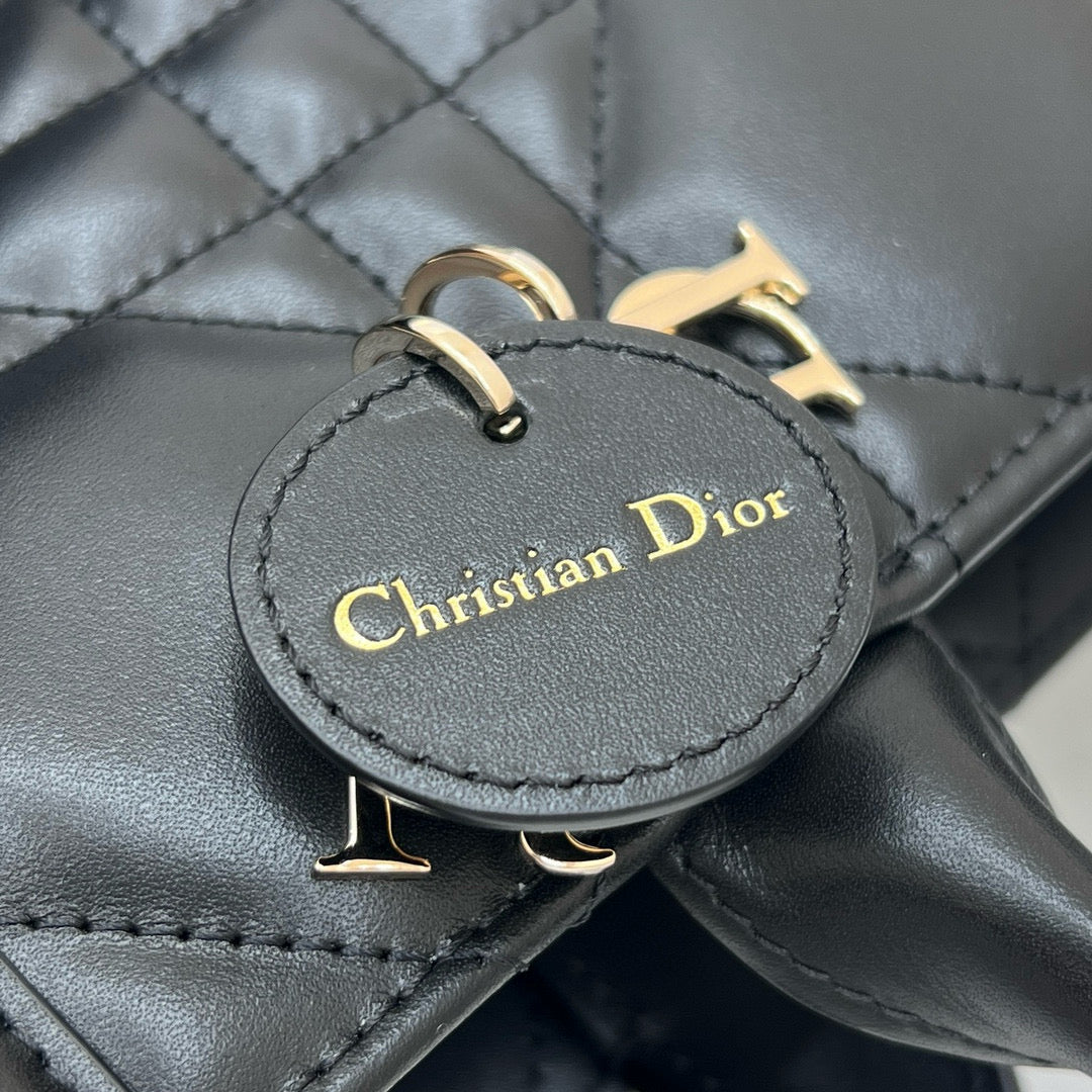 Dior Book Tote Bag