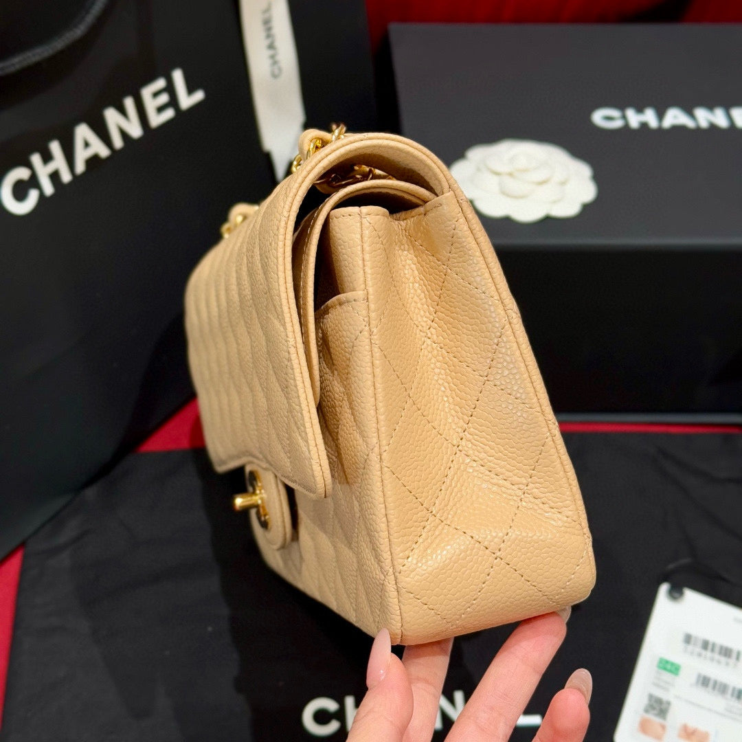 Chanel Classic Flap 25 (Medium)