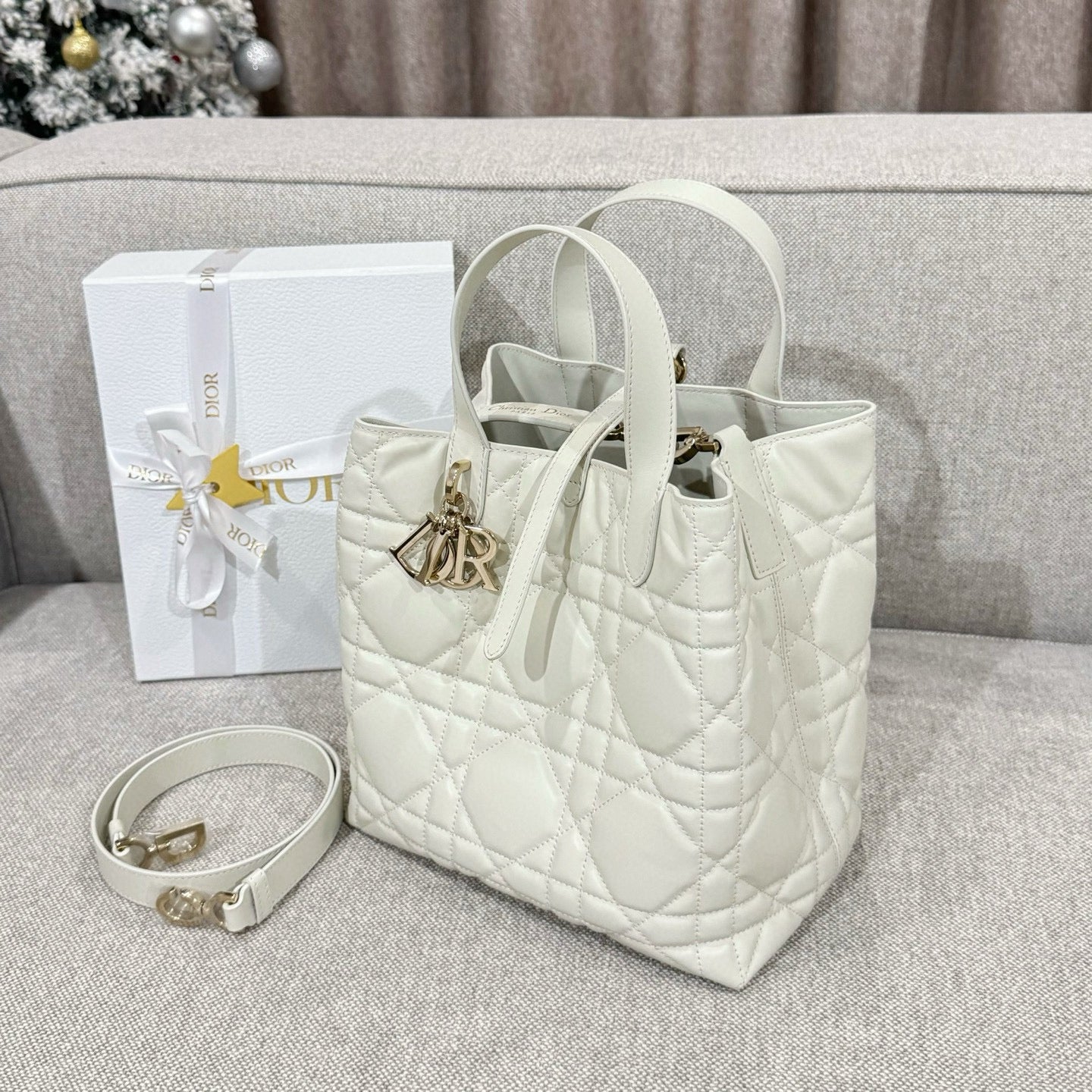 Dior Toujours Bag