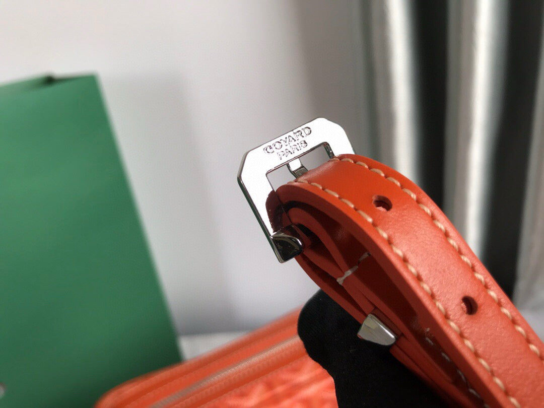 GOYARD CAP-VERT PM BAG