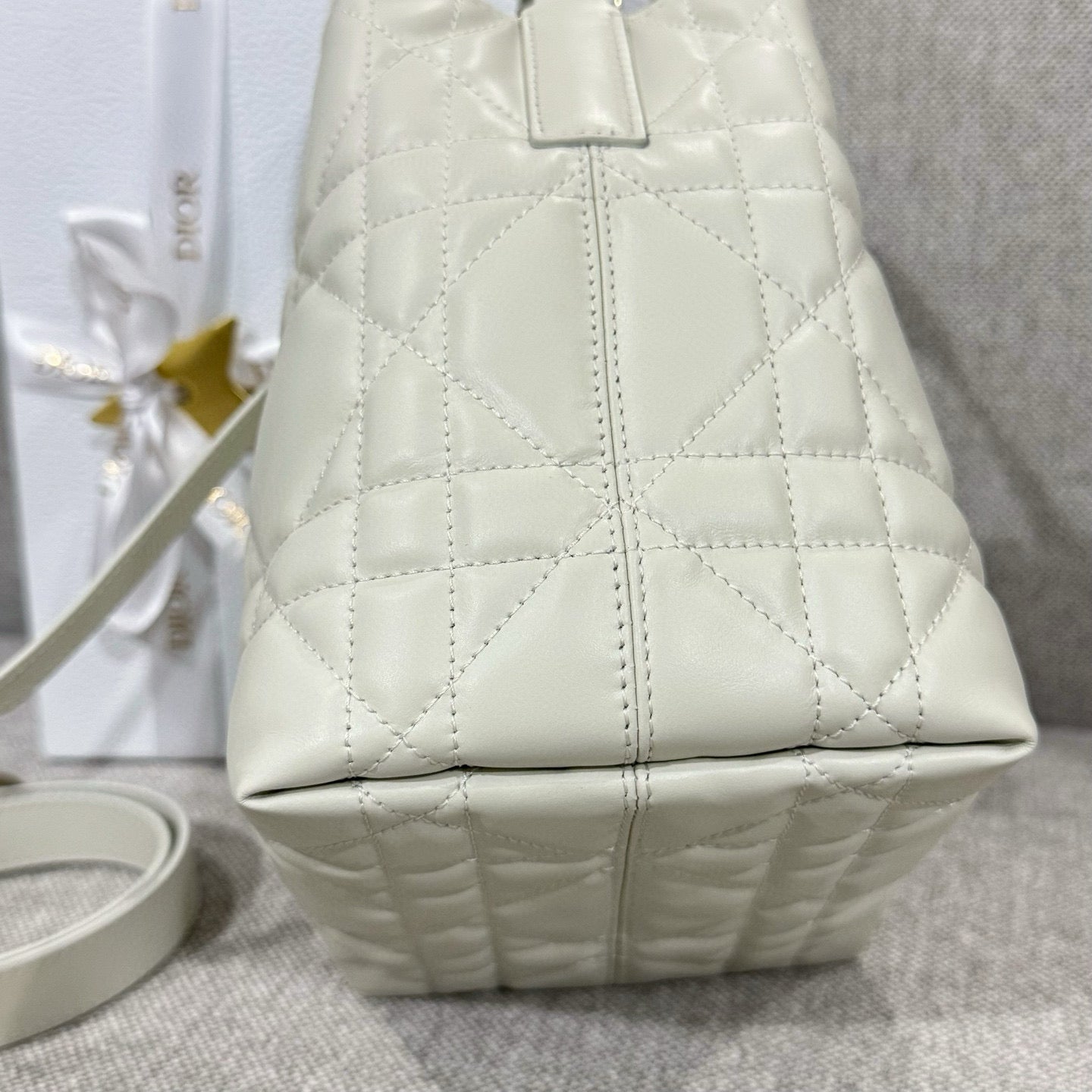 Dior Toujours Mini Bag